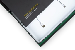 Vision of the Bible — The Four Gospels Tablet